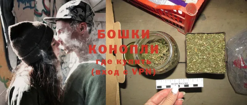 как найти наркотики  Заинск  МАРИХУАНА SATIVA & INDICA 